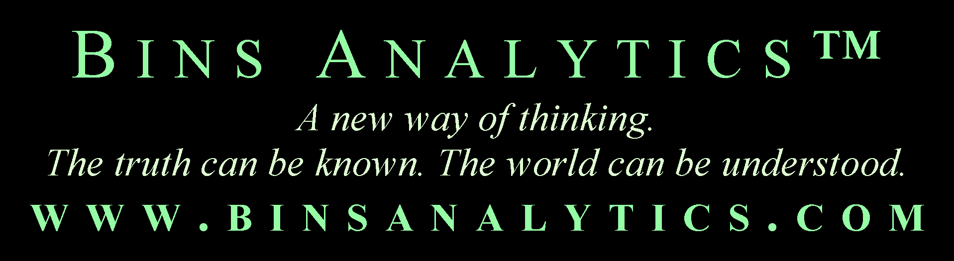 Bins Analytics Logo
